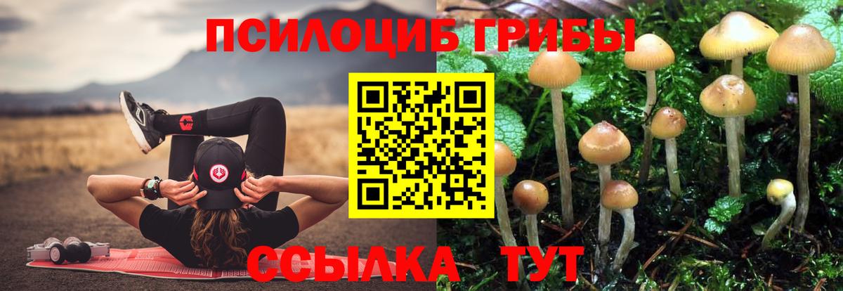 Псилоцибиновые грибы мухоморы  Вход с VPN  Йошкар-Ола  даркнет сайт  Галлюциногенные грибы Magic Shrooms 